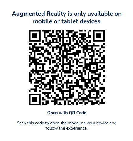QR Code Medium 2